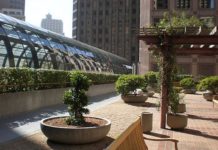 Giardini pensili 893 0 GIARDINO PENSILE